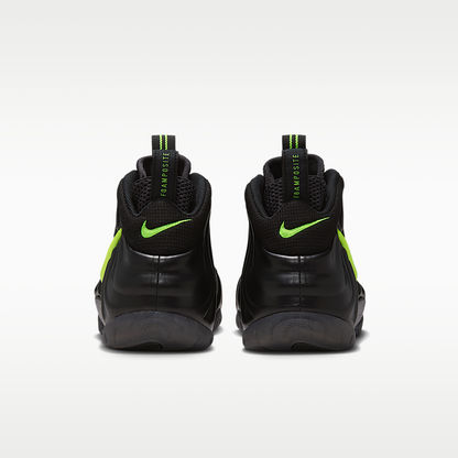 Air Foamposite Pro HF0794- 002