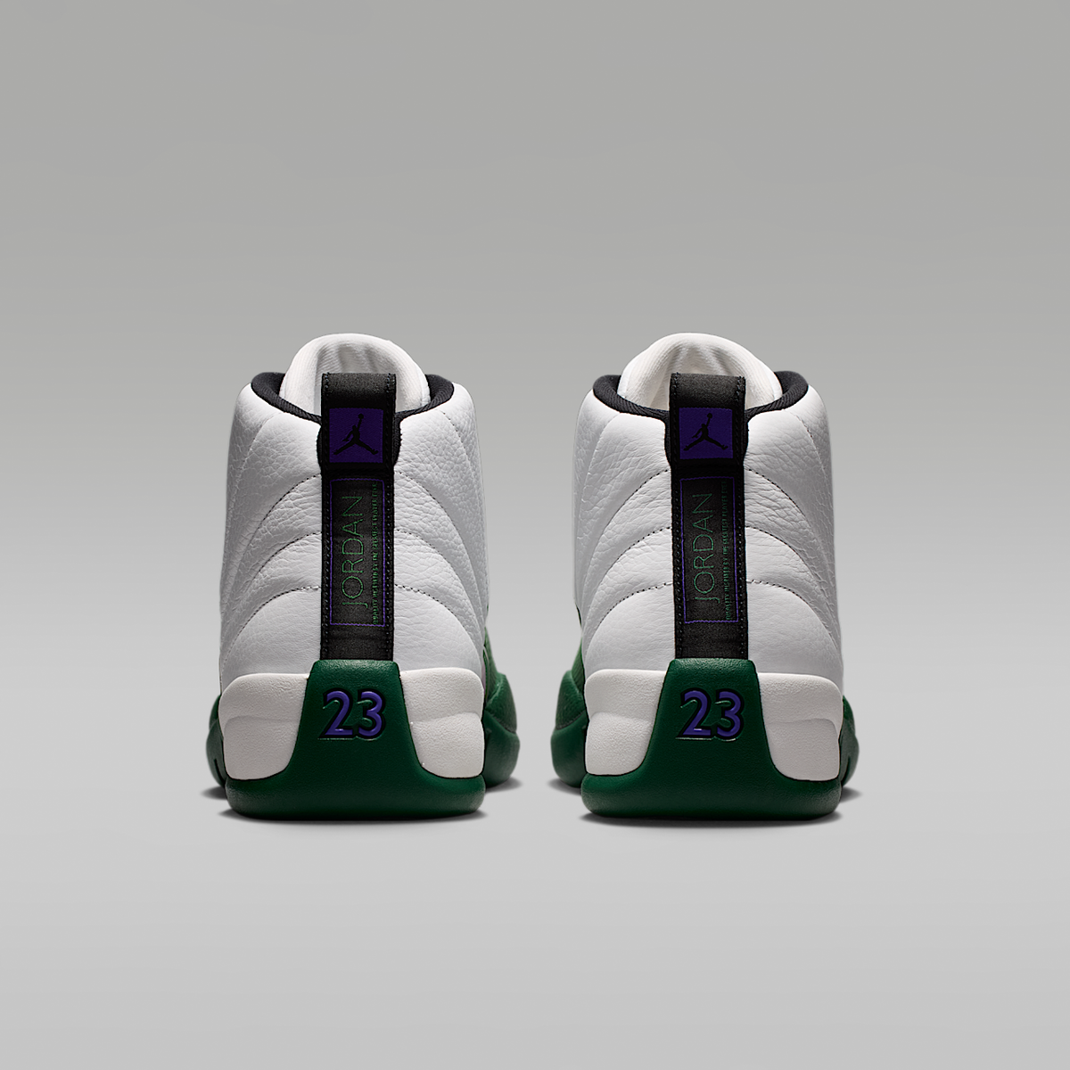 Air 12 Retro Idols Become Rivals CT8013- 103