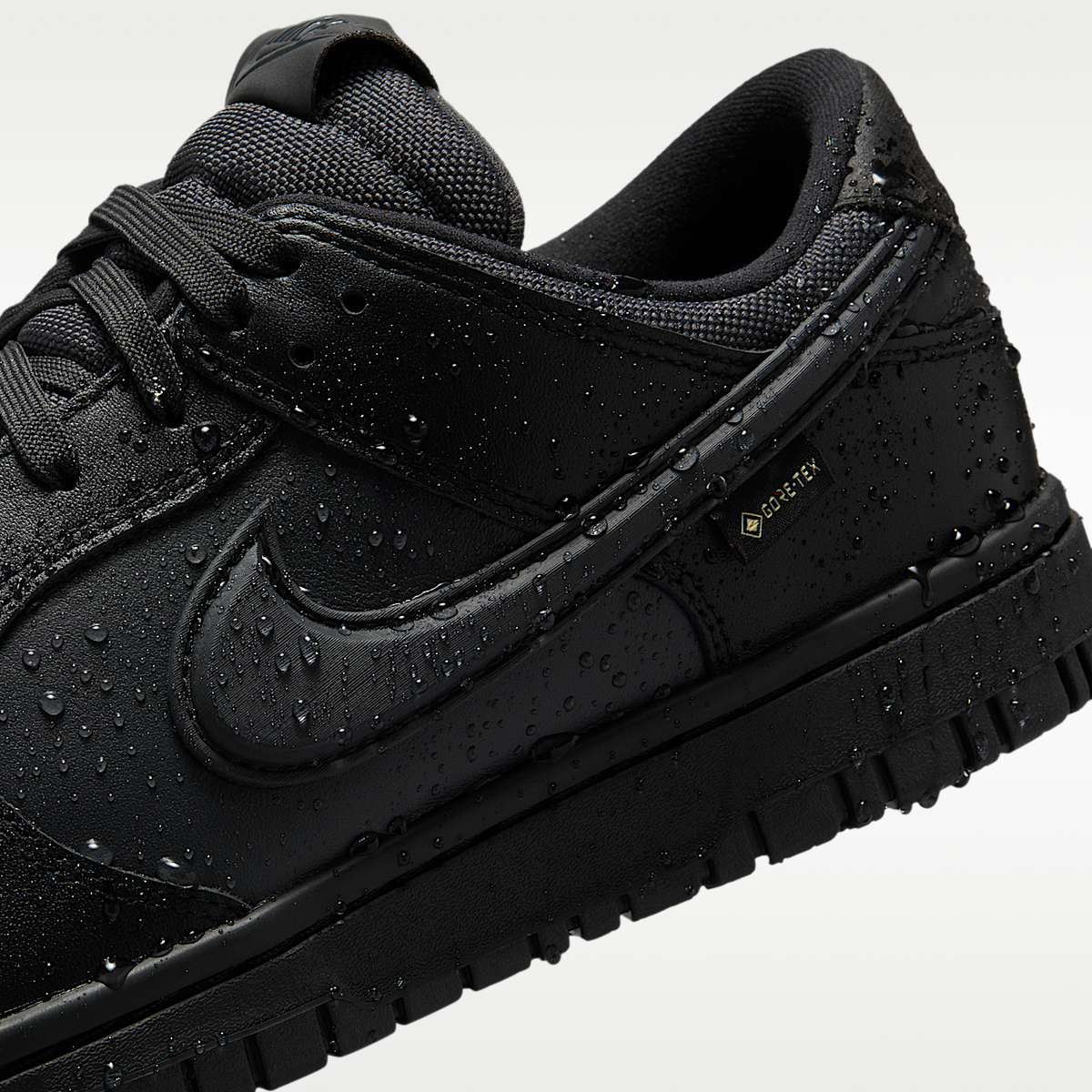 Dunk Low GORE- TEX HQ2053- 001