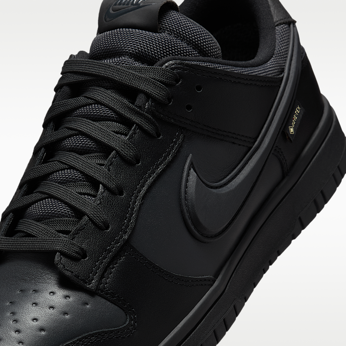 Dunk Low GORE- TEX HQ2053- 001