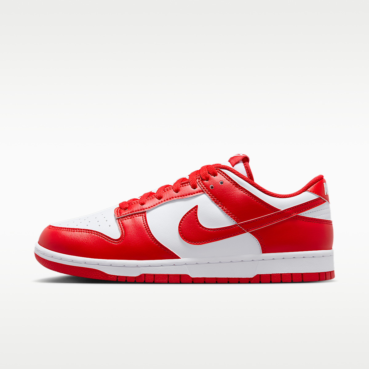 Dunk Low Retro Shoes