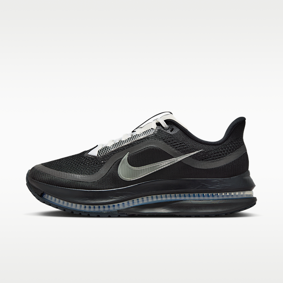 Nike Pegasus Premium SP Shoes