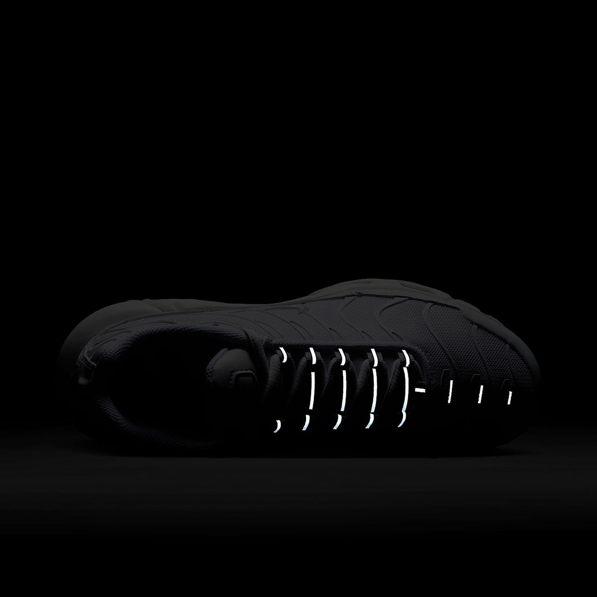 Air Max Plus DM2362- 100