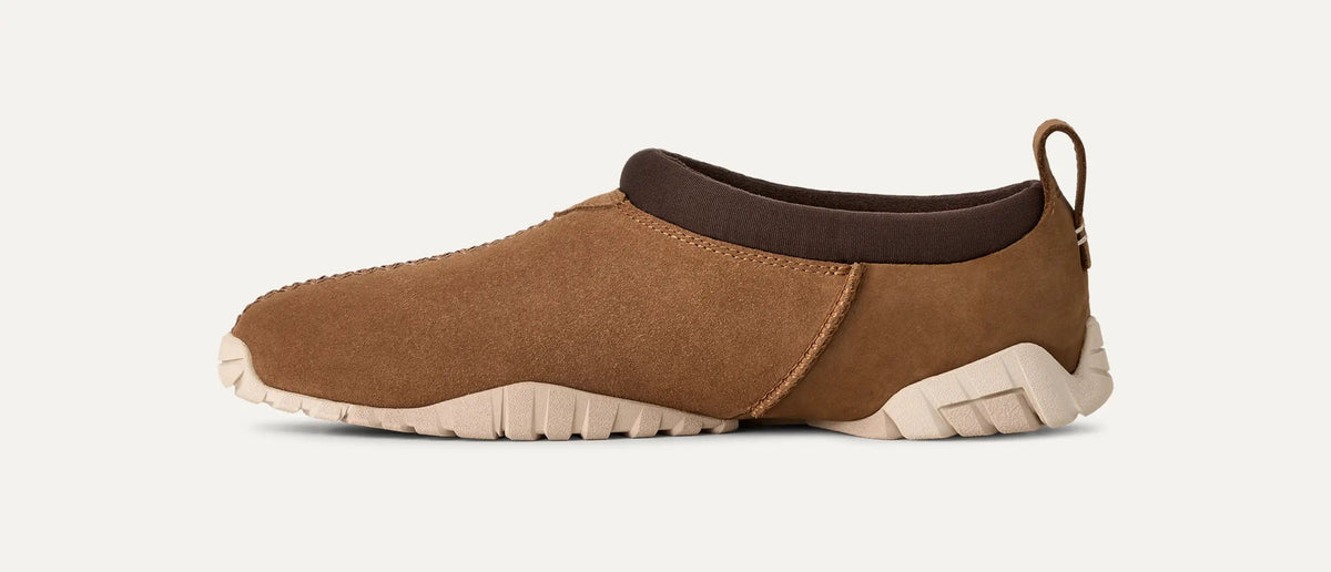 Tasman Flex Shoes