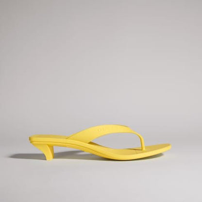 Vittoria Comfort Thong Sandals