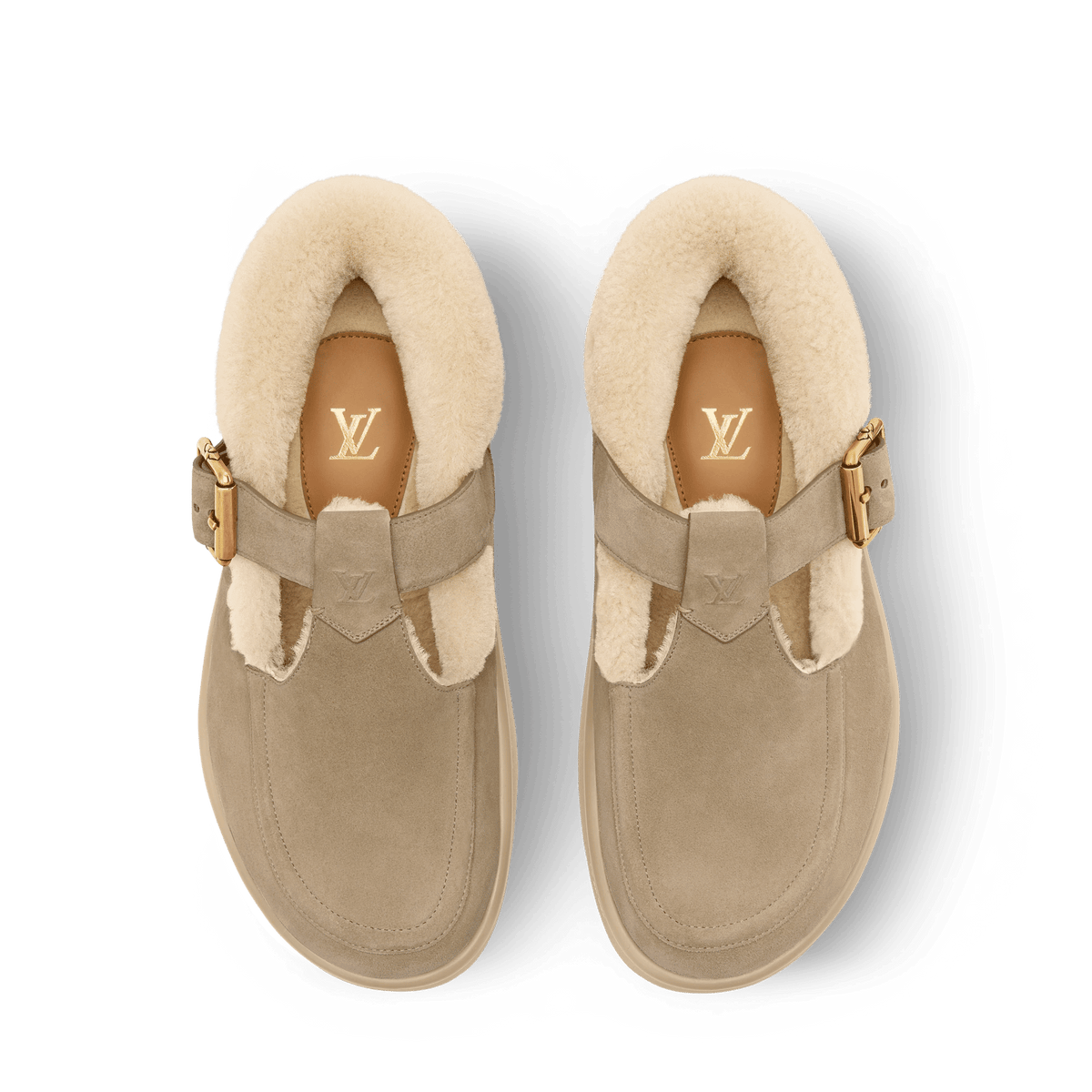 LV Easy Mary Jane Shoes