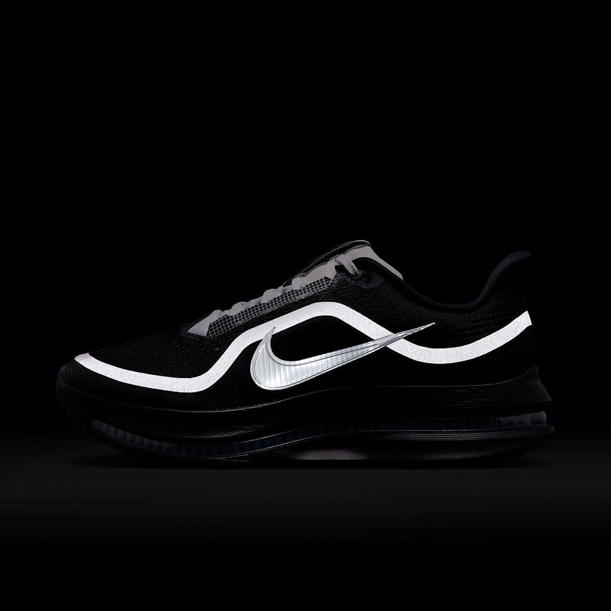 Nike Pegasus Premium SP Shoes